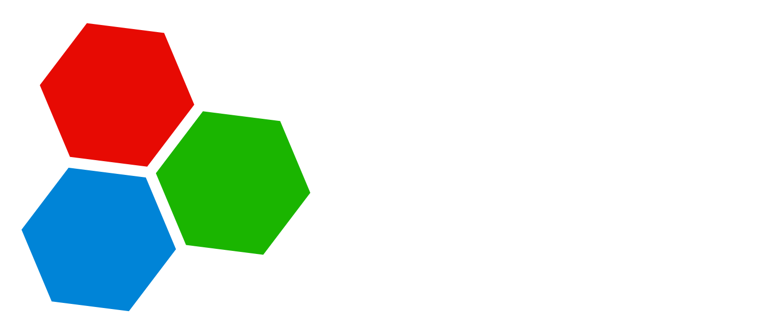 Vizidef Logo